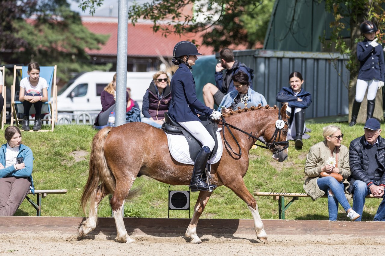 Bild 631 - Pony Akademie Turnier